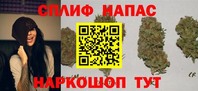 каннабис Можга