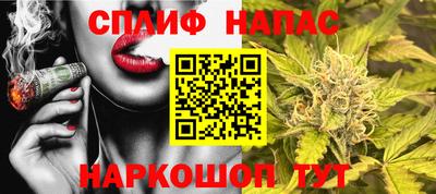 гашик Можайск