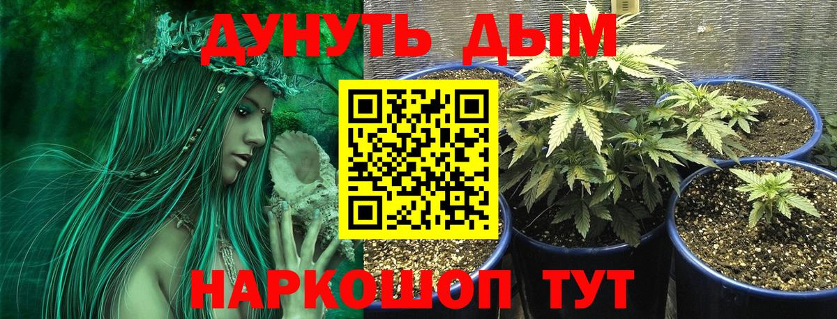 Канабис планчик Россошь